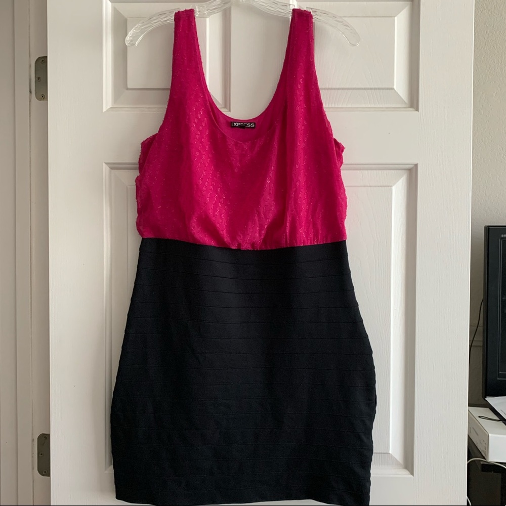 EXPRESS dress